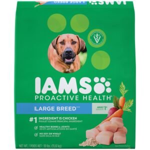 IAMS dog food Orlovista delivery Near Me