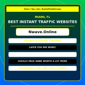 Best Paid Website Traffic Provider Miami